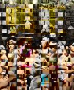 电影《鸭王》免费观看完整版普通话